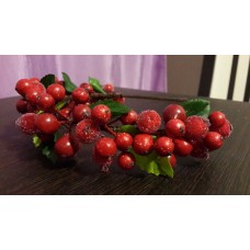 Калина